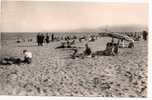 1  CANET PLAGE  (Pyr. Or.)  La Plage - Canet En Roussillon