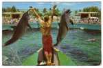 UNITED STATES - Florida, Miami's Fabulous Seaquarium, No Stamps - Delphine