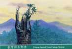 Folder Taiwan 2000 Sacred Tree Stamps Forest Flora Plant - Ongebruikt