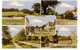 UK730   ALRESFORD : 5-picture Postcard ( Golf Links ) - Other & Unclassified