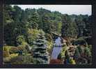 RB 573 - Arthur Dixon Postcard View From The Cascade Alton Towers Staffordshire - Andere & Zonder Classificatie
