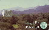 # UAE 24 Mountain & Palm Tree 30 Sc7 01.96  Tres Bon Etat - United Arab Emirates