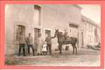 57 - FENETRANGE - CARTE PHOTO - MILITAIRES ALLEMANDS - Fénétrange