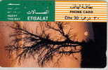 # UAE T13 Tree At Sunset 30 Tamura   Tres Bon Etat - Verenigde Arabische Emiraten