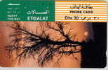 # UAE T13 Tree At Sunset 30 Tamura   Tres Bon Etat - Emirats Arabes Unis