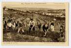 Cpa Travail De La Vigne Le Bechage N°3 AU PAYS DU CHAMPAGNE Vigne Et Vin - Em Choque - Champagne-Ardenne