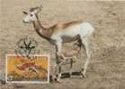 SENEGAL Carte FDC Premier Jour WWF : GAZELLE N'DAMA - Wild
