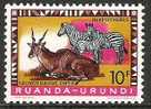 Ruanda-Urundi - 1959 - COB 216 - Neuf Sans Gomme - Ungebraucht