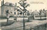 Henrichemont - Ecole Communale Des Garçons -1928( Voir Verso ) - Henrichemont