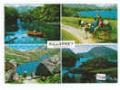 PO8918# IRLANDA - EIRE - KILLARNEY - Vedutine Lago - Cavallo - Equitazione - Carretto Con Pony  VG 1968 - Kerry