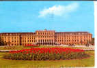 AUTRICHE - WIEN - VIENNE - Schloss Schonbrunn - Château - Castle - Schloss Schönbrunn