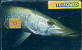 # CZECH C192 Pike (no20) 50 Gem 06.97 -poisson,fish- Tres Bon Etat - Czech Republic