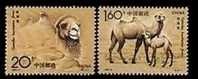 China 1993-3 Wild Bactrian Camel Stamps Fauna Desert - Unused Stamps