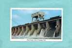 Etats-Unis - Spillways Open, Hood Waters Roll At Kentucky Dam - Altri & Non Classificati