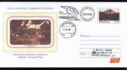 WHALE BALEINE- Hunting,entier Postal Stationery 33/2006.MAILED - Wale