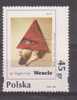 Poland 1995 Painting MNH - Nuevos