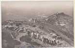 CPA PHOTO ITALIE UMBRIRIA  ASSISI Panorama Dal Monte S. Rutino N°350 - Sonstige & Ohne Zuordnung