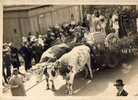 Carte Photo .Fête..Char A Boeufs   Loire Atlantique.. Mercerie Gildas - To Identify