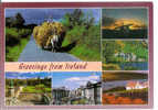 Greetings From IRELAND - Andere & Zonder Classificatie