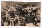 AFRICA - Typical Ricksha Boys, Ethnic Postcard - Non Classés