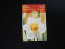 CANADA  2005 BOOKLET #308 DAFFODILS MNH** (1030800) - Libretti Completi