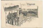 Colombo Multi View A.W.A Platé 42 Ceylon Elephant Galel Face Hotel Harbour Undivided Back - Sri Lanka (Ceylon)