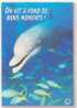 DAUPHINS - ON VIT A FOND DE BONS MOMENTS - Dolphins