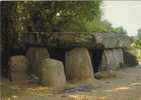 CPM De Le Bernard   Dolmen De La Frébouchère - Dolmen & Menhirs