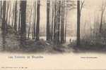 OUDERGEM - Foret D´Auderghem - Oudergem - Auderghem