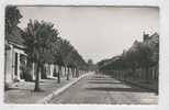 Neuillé-Pont-de-Pierre. Avenue Louis Proust. - Neuillé-Pont-Pierre