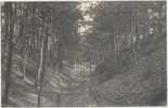 Averbode Holleweg In´t Bosch Chemin Creux Dans Le Bois Feldpost 29.5.1915 Formation I. Landsturnm Bataillon Schwerin - Scherpenheuvel-Zichem