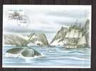 Carte Illustrée Du Groënland Avec Queue De Baleine Et Timbre Bateau N° 388 - Cartoline Maximum