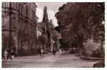 GERMANY - Bielefeld, Street With Gymnasium, Year 1963 - Bielefeld