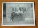 MAN Te PAARD ( Commandant Armée Belge ) - ( Zie Foto Voor Details ) !! - War, Military