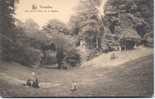 BRUSSEL-UNE VUE DU BOIS DE LA CAMBRE - Bossen, Parken, Tuinen