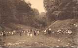 BRUSSEL-BOIS DE LA CAMBRE-AU PIED DE LA GROTTE - Bosques, Parques, Jardines