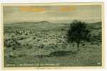 Palestine  - RF22061 - Bethlehem  -  Le Champ Des Bergers  - Bon  état - Palestine