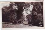 53. ERNEE.   CHATEAU PANARD ( XVI Ieme Siecle). - Ernee