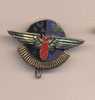 Insigne     BA 120   Cazaux - Airforce