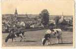 Luftkurort Eupen Kühe Auf Der Weide Vor Der Stadt NELS Edition 16.8.1940 Les Vaches Au Pâturage En Dehors De La Ville - Eupen