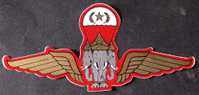 PARACHUTISME  Autocollant / Sticker ARMEE THAILANDE PARACHUTISTE  PORT  OFFERT - Other & Unclassified