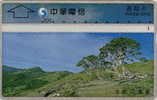 # TAIWAN 9999-10 Mountain & Tree 100 Landis&gyr   Tres Bon Etat - Taiwan (Formosa)