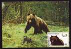 Romania 1986 MAXICARD Maximum Card Animals BEARS OURS. - Ours