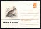 RUSSIA 1980 VERY RARE COVER ENTIER POSTAUX STATIONERY,Hunting, Animals,LAPINS,RABBIT. - Conigli