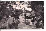 ENVIRONS DE MALESHERBES..LA ROCHE AUX AMIS..1959..CARTE PHOTO GLACE - Malesherbes