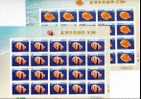 2009 Taiwan Seashell Stamps Sheets (III) Shell Marine Life Fauna - Coneshells