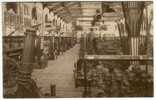 Bruxelles : Musée Royal De L'Armée : Le Hall Des Alliés (2) - 1914-1918 - Musées