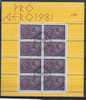 PA048 - Feuillet Pro Aero 1981 Obl. 1er Jour - Used Stamps