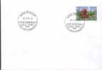 Schweiz / Switzerland - Sonderstempel / Special Cancellation (t144) - Briefe U. Dokumente