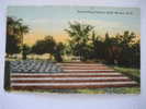 Floral Flag  U.S.A. Flag  Gladwin Park Detroit  MI   Circa 1907 - Andere & Zonder Classificatie